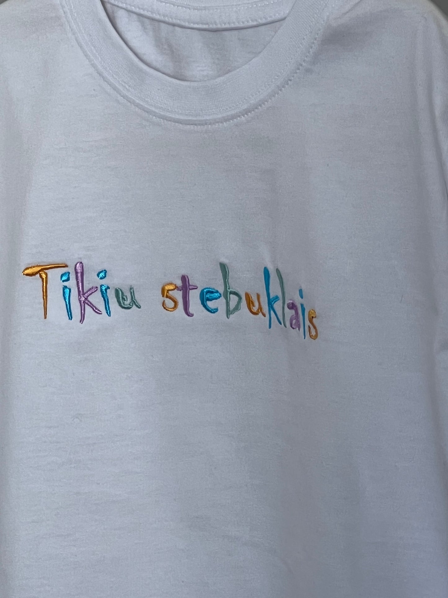 Palaidinė - Tikiu stebuklais