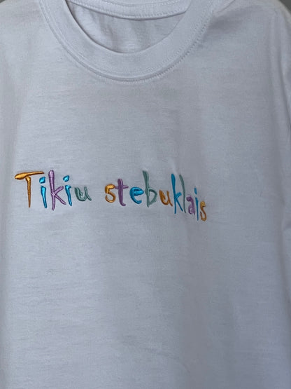 Palaidinė - Tikiu stebuklais